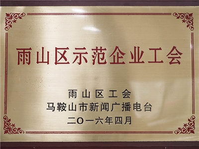 2016年榮獲雨山區(qū)示范企業(yè)工會