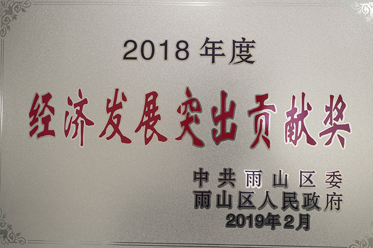 2018年度榮獲經(jīng)濟發(fā)展突出貢獻獎